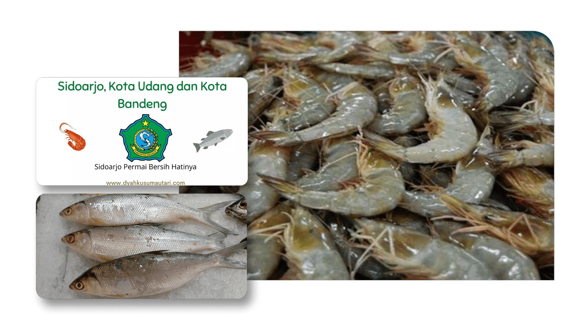 Kota Udang dan Bandeng