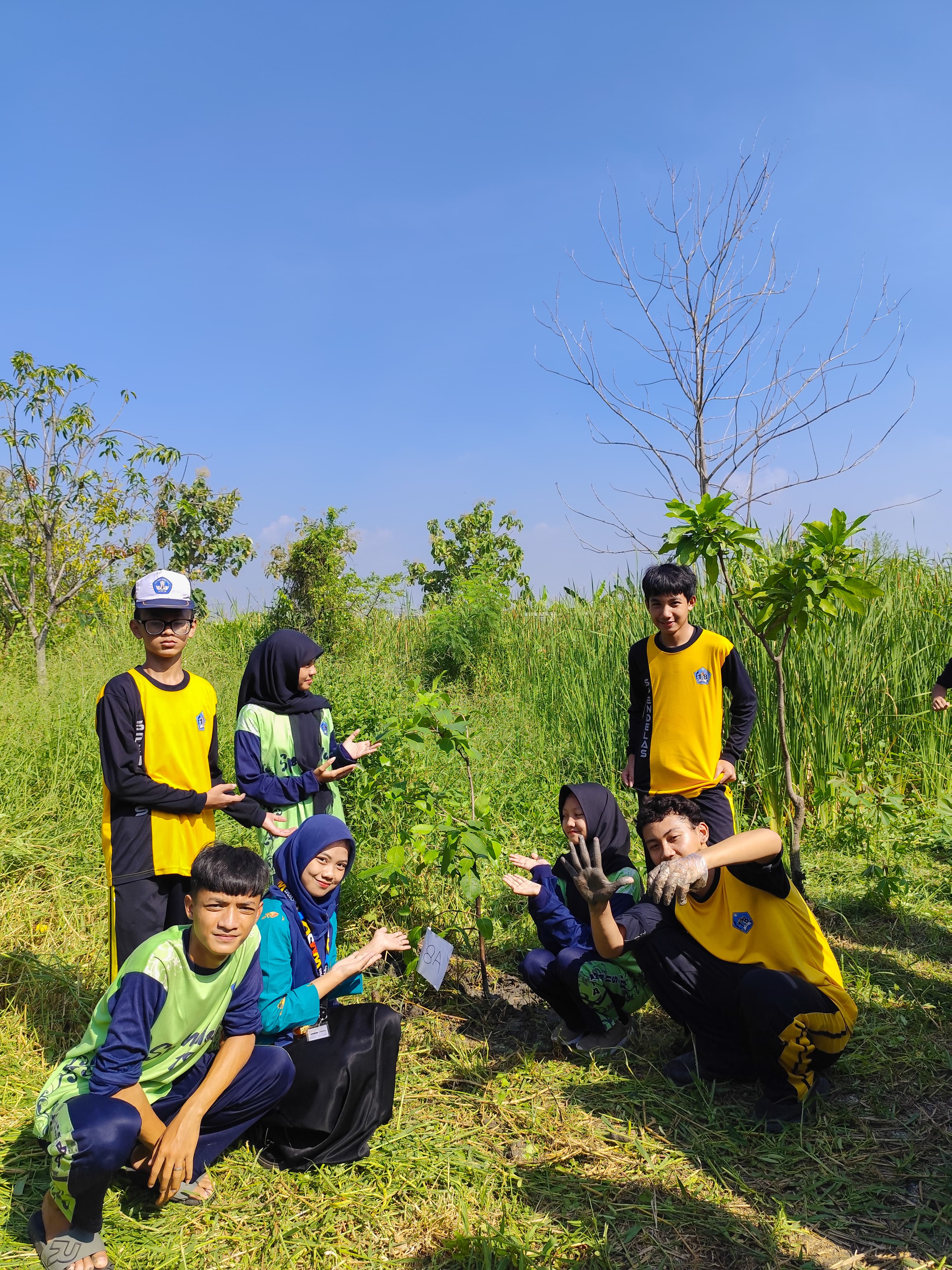 Hari bumi